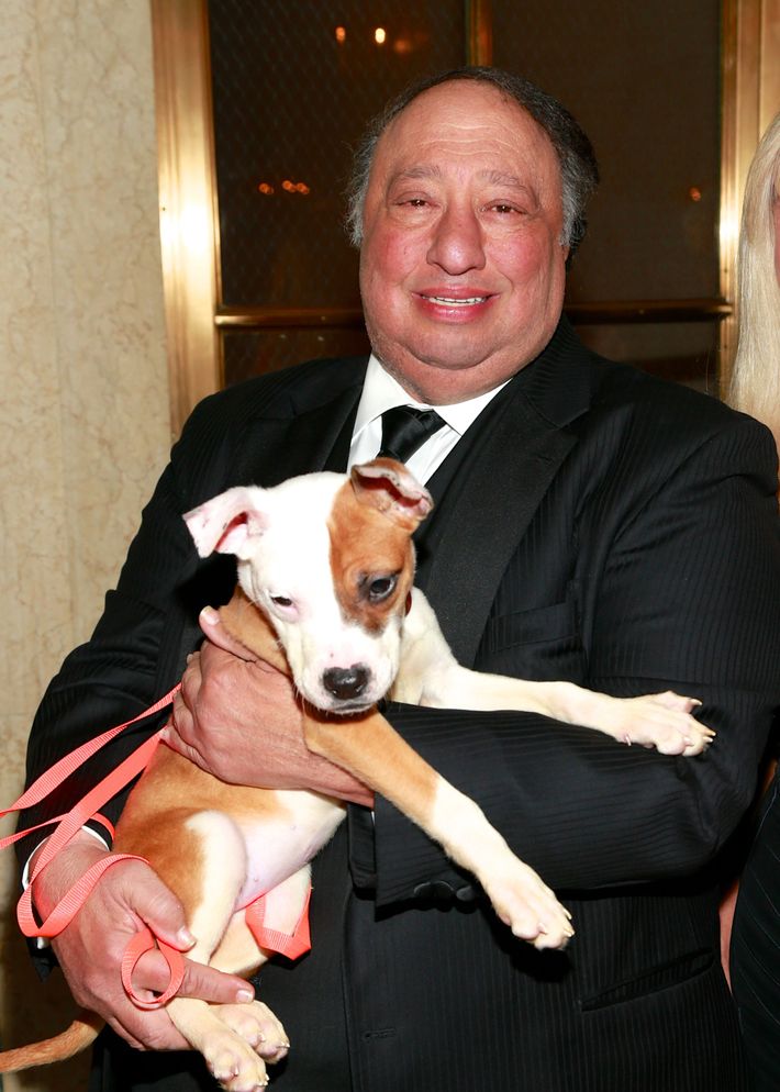 Cats Photos: Remembering John Catsimatidis’s Campaign In 12 Wonderful ...