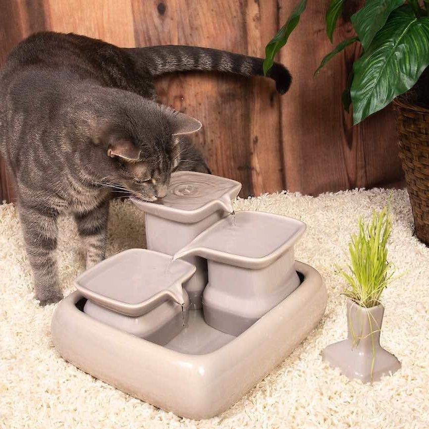 Miaustore Cat Ceramic Water Fountain