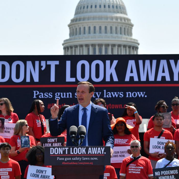 The Senate Announced A Bipartisan Gun Safety Deal