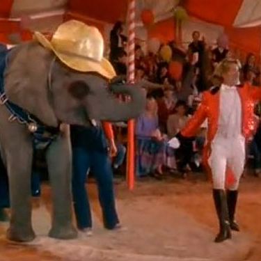 Tai, the hardest-working pachyderm in the business, has worn more than her share of spangled headdresses. But here she shows her down-home side, sporting denim overalls and a hat to protect against sun damage. (Hollywood discriminates against aging female elephants as harshly as it does aging women.) Skin safety first.