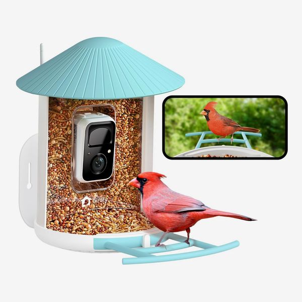 Netvue Birdfy Smart Bird Feeder With Camera