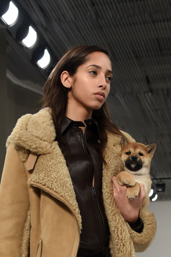 Gigi Hadid Opens Tod’s Show at Milan Fashion Week With a Dog