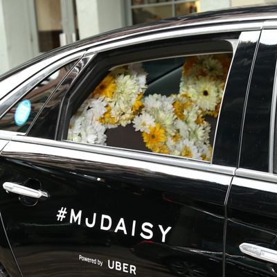 The Daisy Daze Uber