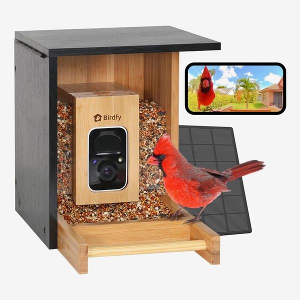 Netvue Birdfy Smart Bird Feeder - Bamboo