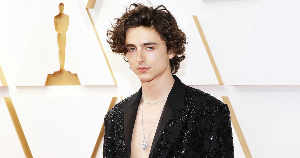 Timothée Chalamet Showed Up Shirtless At The Oscars