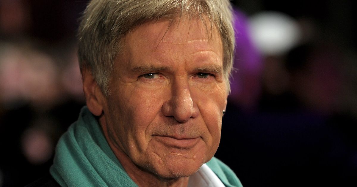 Harrison Ford Keeps His License After Airplane Incident