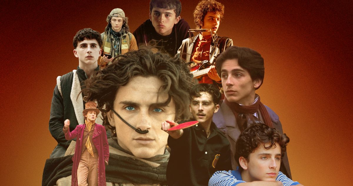 vulture.com - Roxana Hadadi - Every Timoth&eacute;e Chalamet Movie, Ranked