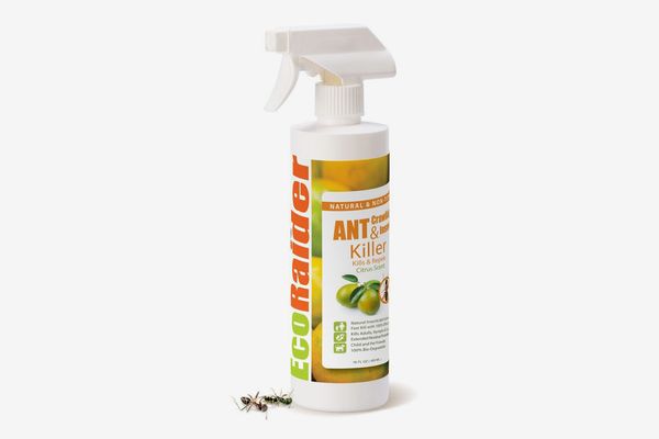 EcoRaider Ant & Crawling Insect Killer