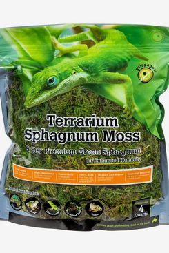 Galápagos Terrarium Sphagnum Moss, 5-Star Green Sphagnum