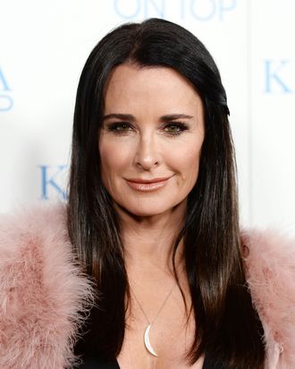 Kyle Richards, The Real Housewives