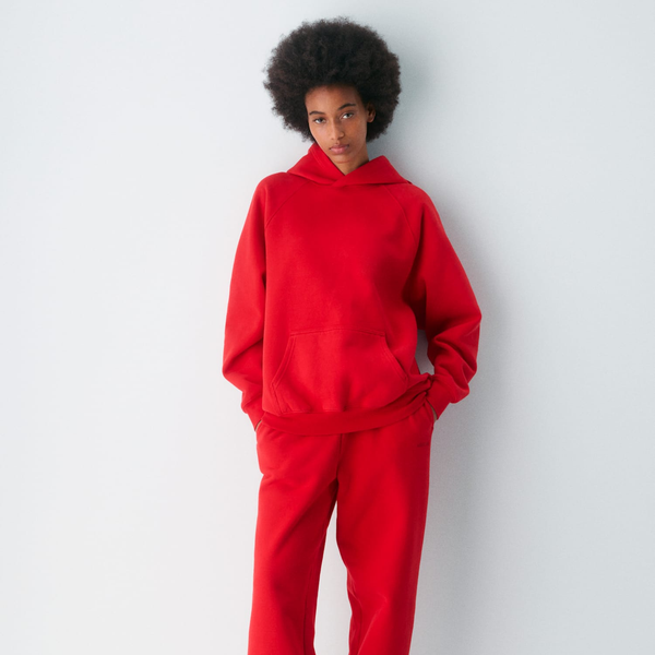 Aritzia Cozy Sweatfleece Mega Raglan Hoodie