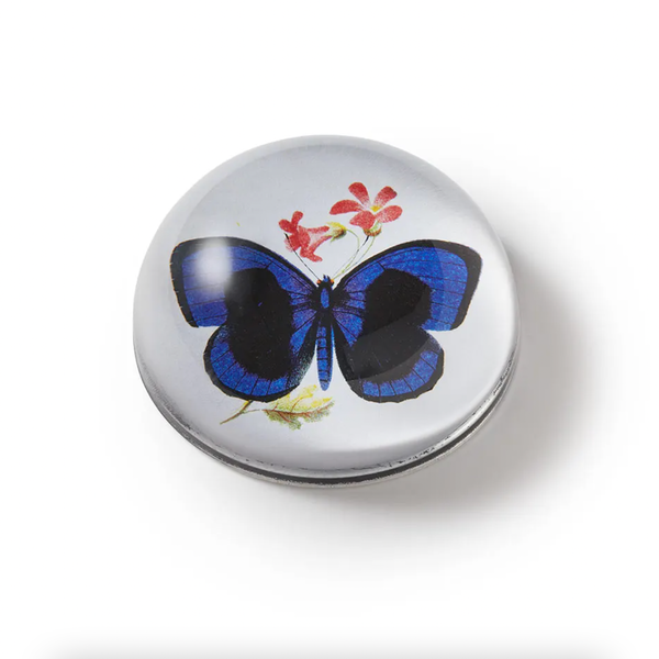 John Derian Callithea Sapphira Butterfly Decoupage Domed Paperweight