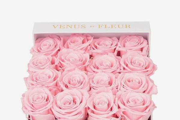 Venus Et Fleur Small Square Eternity Roses