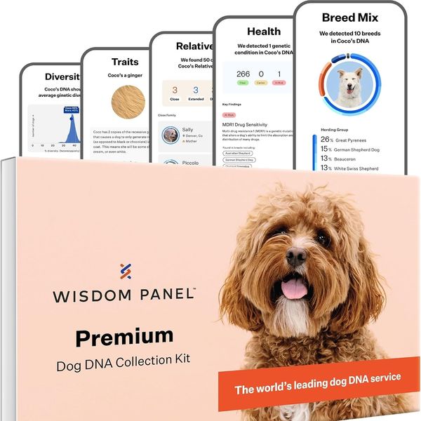 Wisdom Panel Premium Dog DNA Test