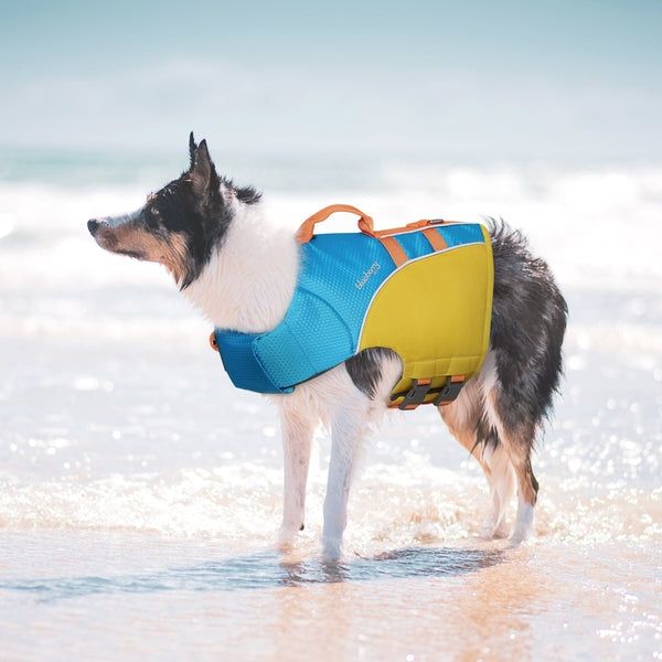 Blueberry Pet Dog Life Jacket