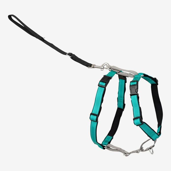 11 Best Dog Harnesses | The Strategist