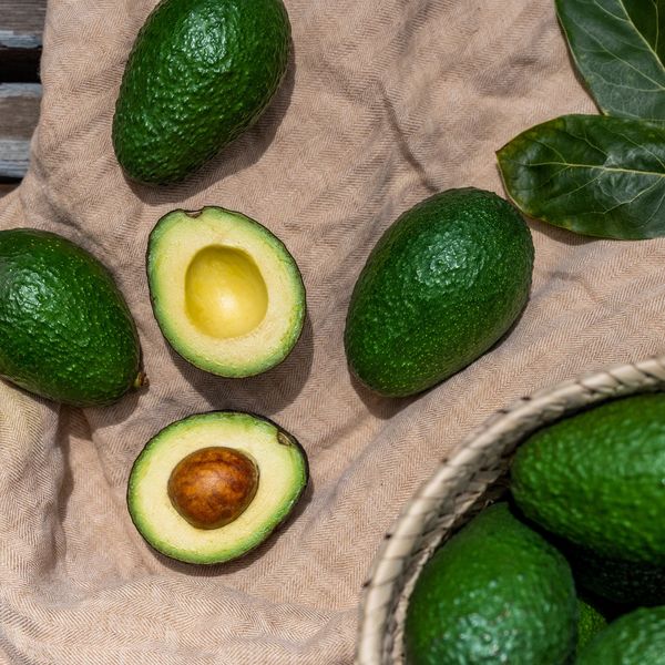 Primavera Avocado Subscription