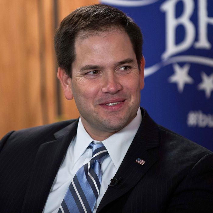 US Republican Senator from Florida Marco Rubio speaks at the BuzzFeed Brews newsmaker event in Washington on February 5, 2013.