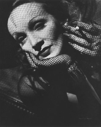 Marlene Dietrich: Dressed for the Image' Exhibit Opening