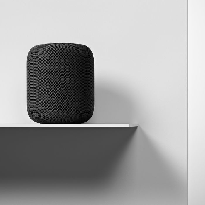 fake homepod