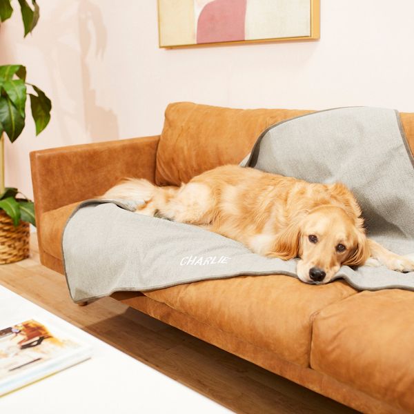 Frisco Personalized Faux Linen Dog & Cat Blanket, Beige, Large