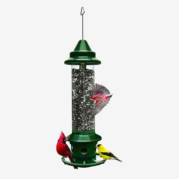 Brome Squirrel Buster Plus Bird Feeder With Cardinal Ring