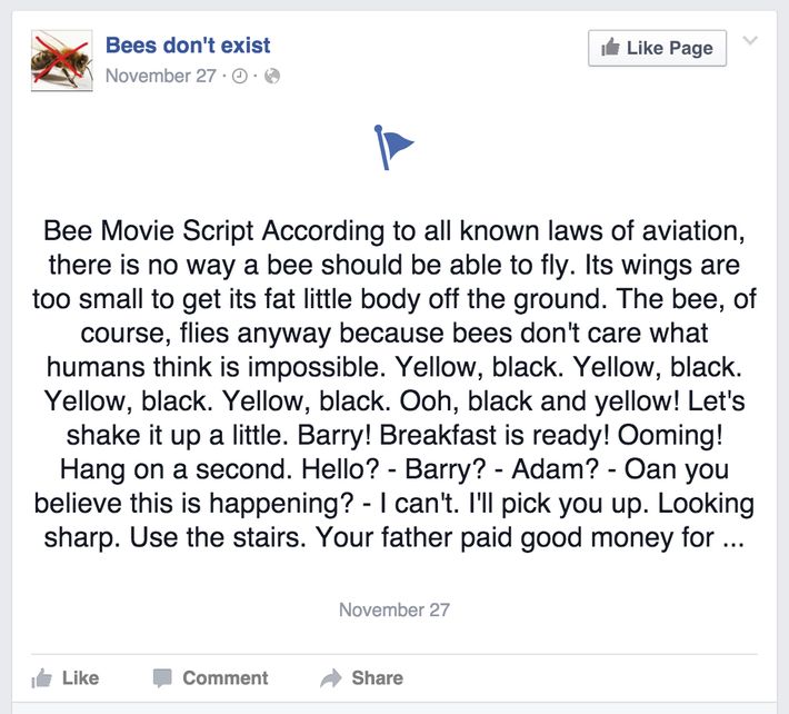 The Best Prank On Facebook Right Now Involves The Entire Transcript Of I Bee Movie I