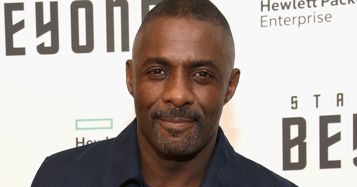 Idris Elba Says He Has No Plans to Get Remarried