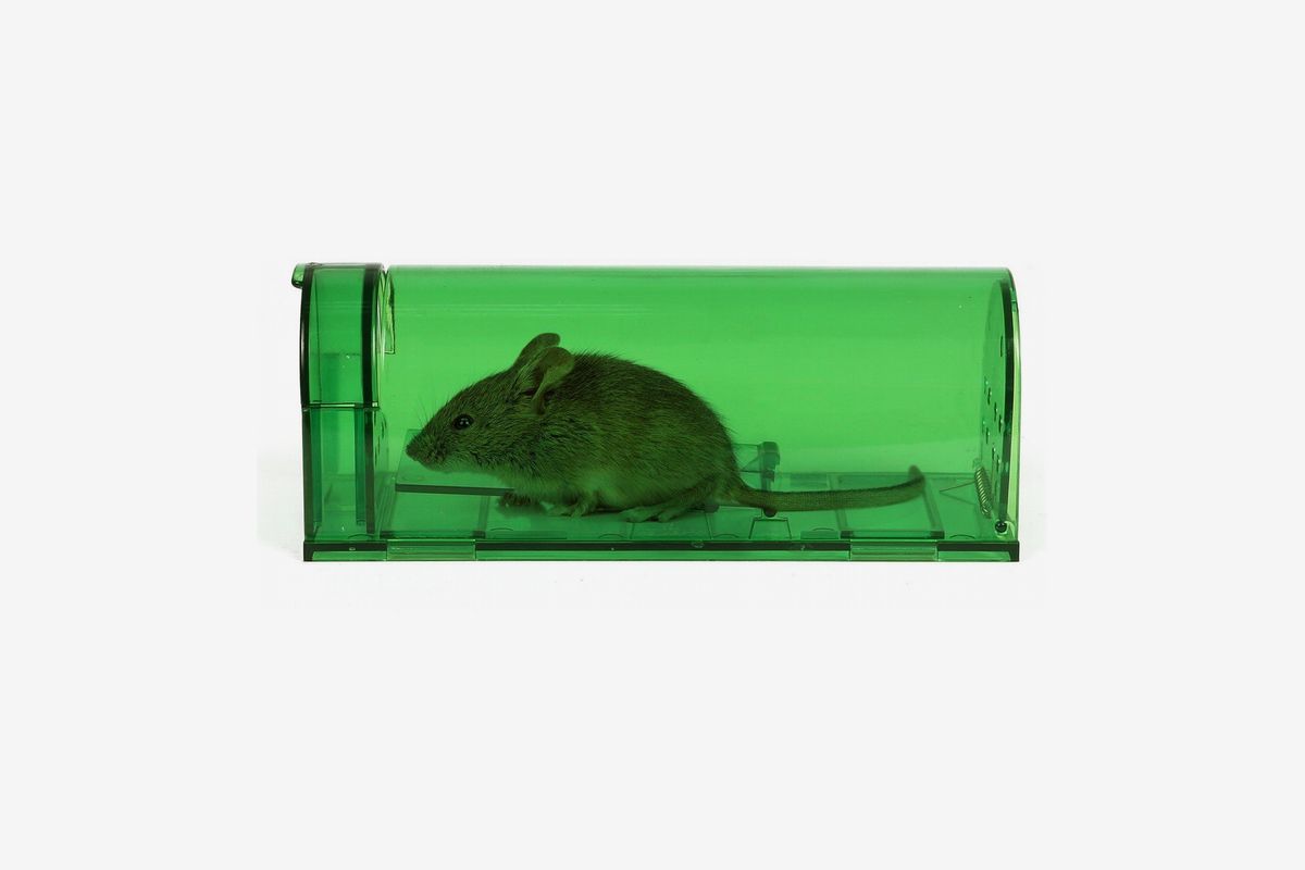 Green - 2 pcs Reusable for Kitchen Garden Storage Garage Humane Smart No Kill Mouse Trap Easy to Set for Small Rodents Such as Mouse Mice Vole Mole Chipmunk Cruelty Free Live Catch and Release 