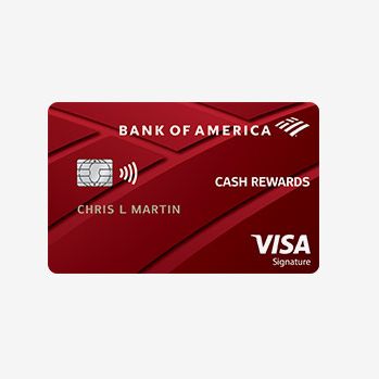 9 Best Cash Back Credit Cards May 2021 The Strategist