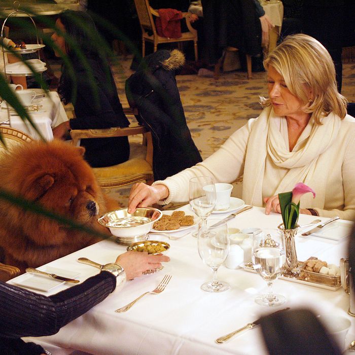 Martha Stewart==Martha Stewart Having Lunch with her dog at the Plaza==The Plaza, NYC==February 12, 2012==?PatrickMcmullan.com==photo-Sylvain Gaboury/PatrickMcmullan.com====