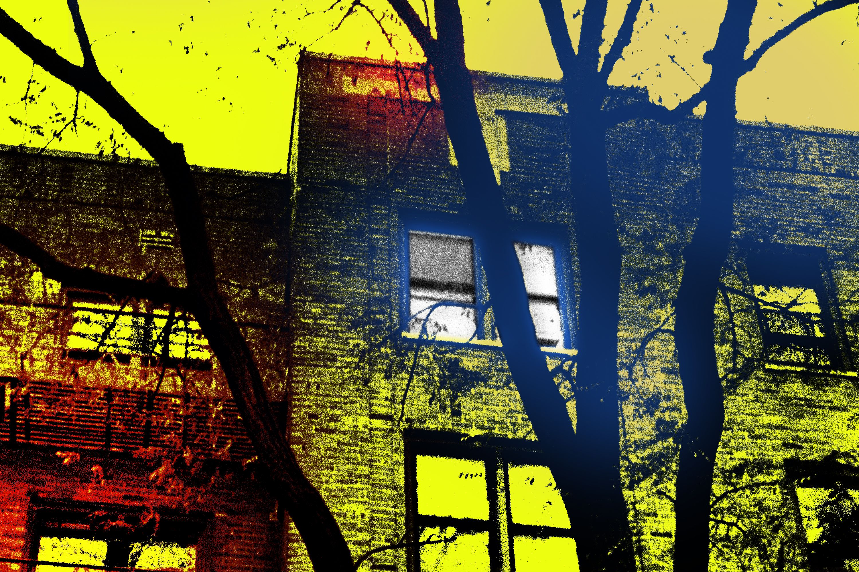 ‘A Sale and a Suicide on East 12th Street,’ by Bridget Read New York