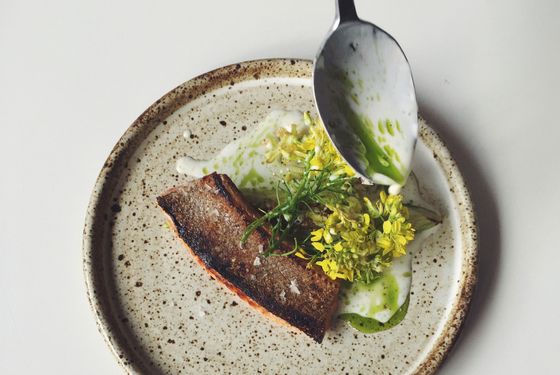 Grilled fatty ocean trout with cucumbers, buttermilk, and horseradish.