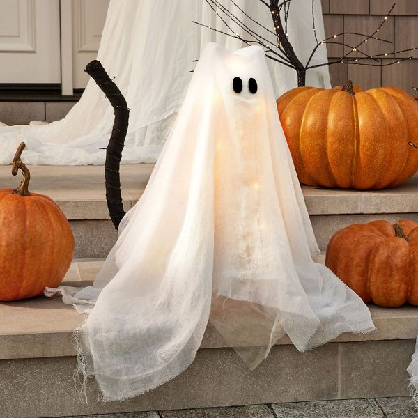 Pottery Barn Lit Ghost Cat