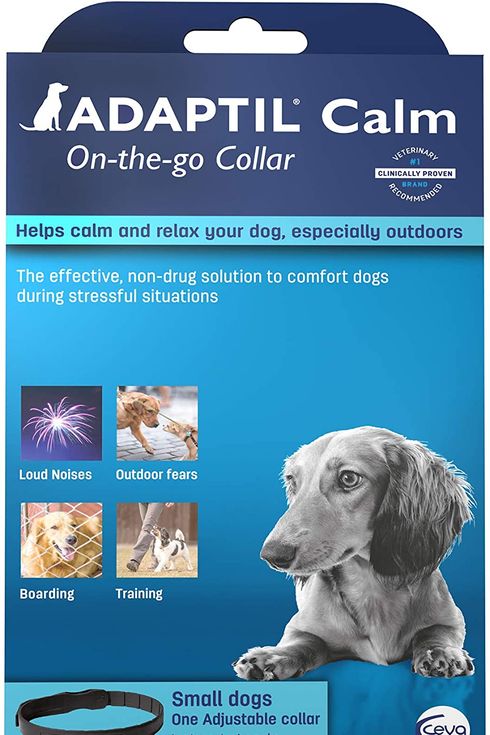 adaptil collar petco