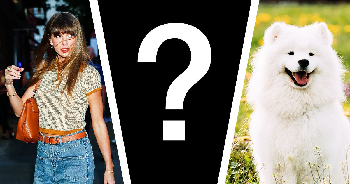 No Sign of Taylor Swift's Wedding Dress, But This Might Be Her Dog