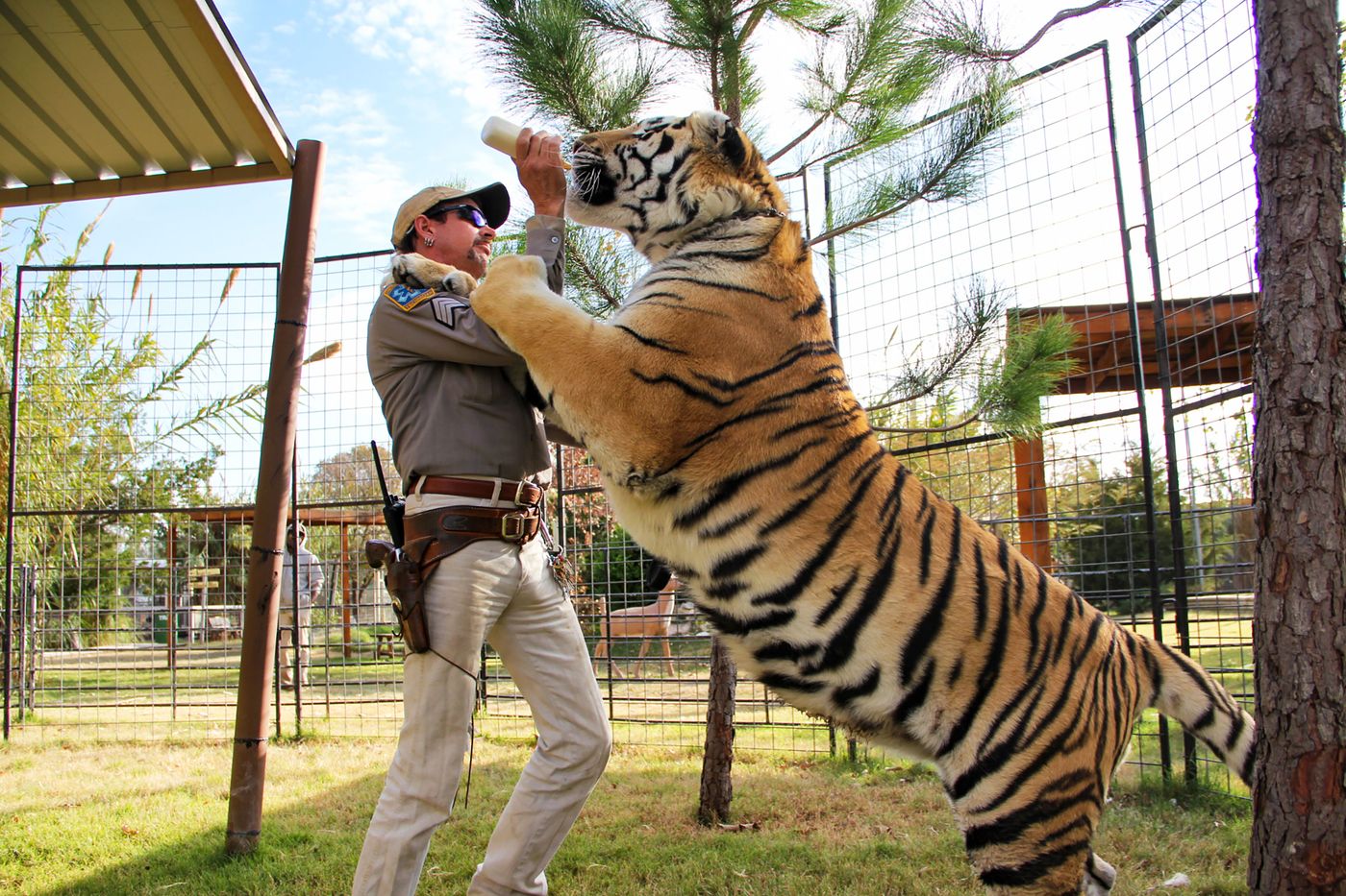 Watching Tiger King? Here’s what you should know (and how you can help)