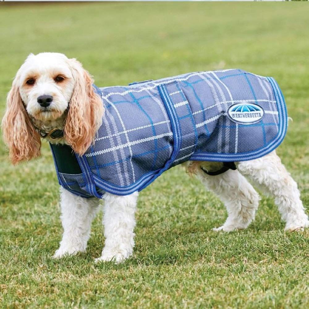 5 Colors 7 Sizes for Small Medium Large Dogs Rantow Reflective Dog Coat Winter Vest Reversible Loft Jacket XXXL, Blue Water-Resistant Windproof Snowsuit Cold Weather Pets Cloth