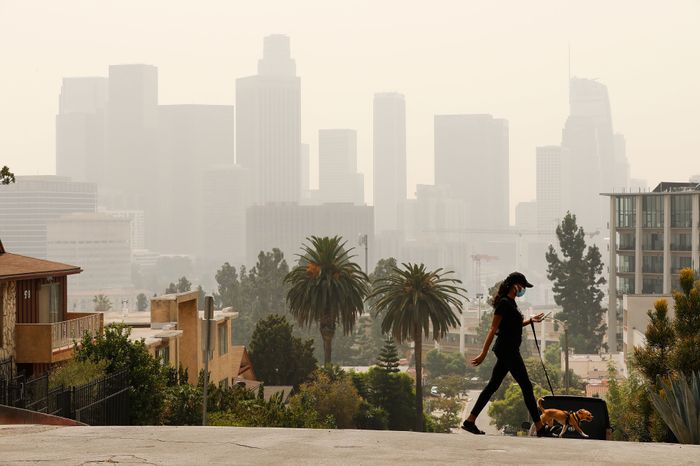 A woman checks her phone and walks her dog as smoke and ash from the Bobcat fire burning in the Angeles National Forest have blanketed the region for a week, contributing to poor air quality which nearly obscures the tall buildings of downtown Los Angeles.