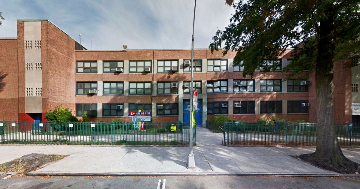 Dumbo Schools Rezoned in Spite of Parents Big Feelings Dumbo Schools Rezoned in Spite of Parents Big Feelings