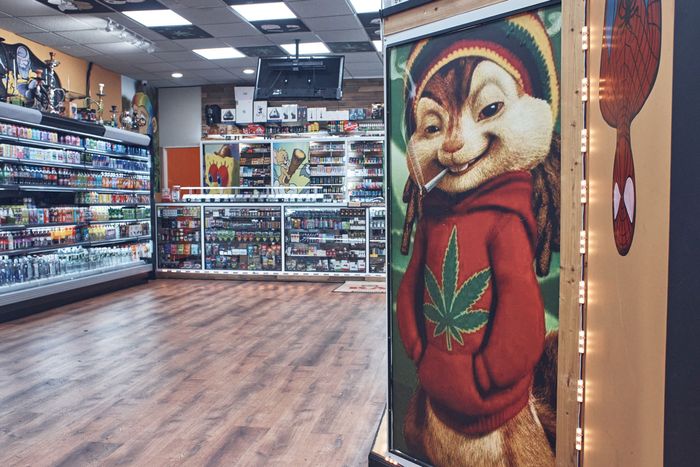 The Tacky Weed Bodega Is Everywhere (for Now)