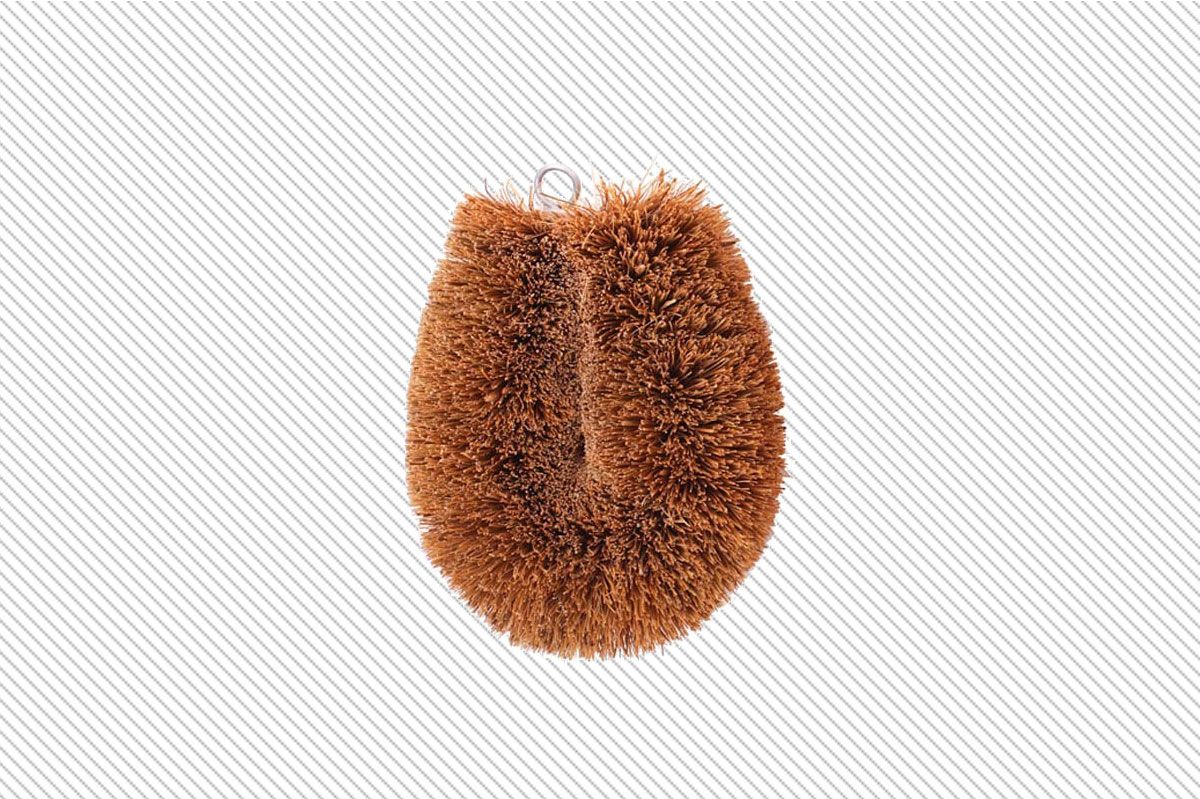 https://pyxis.nymag.com/v1/imgs/548/5e5/b3a25633391d27e6124125db54f46753fb-06-vegetable-brush-e-comm.2x.h473.w710.jpg