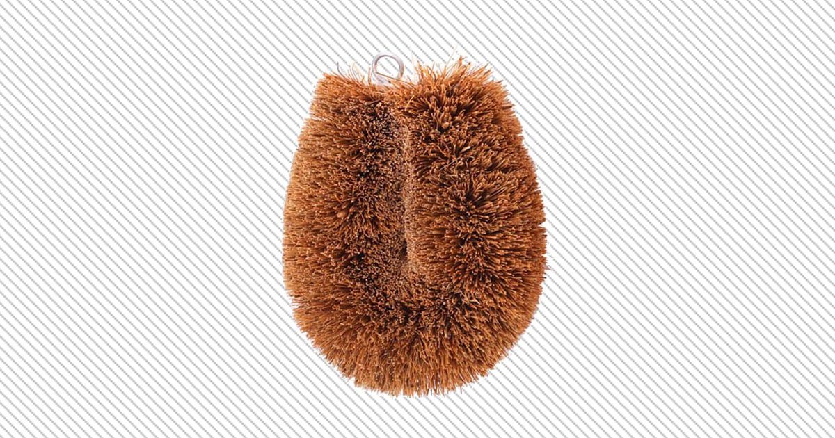 Coconut Tawashi Fiber Vegetable Cleaning Brush Natura Multipurpose