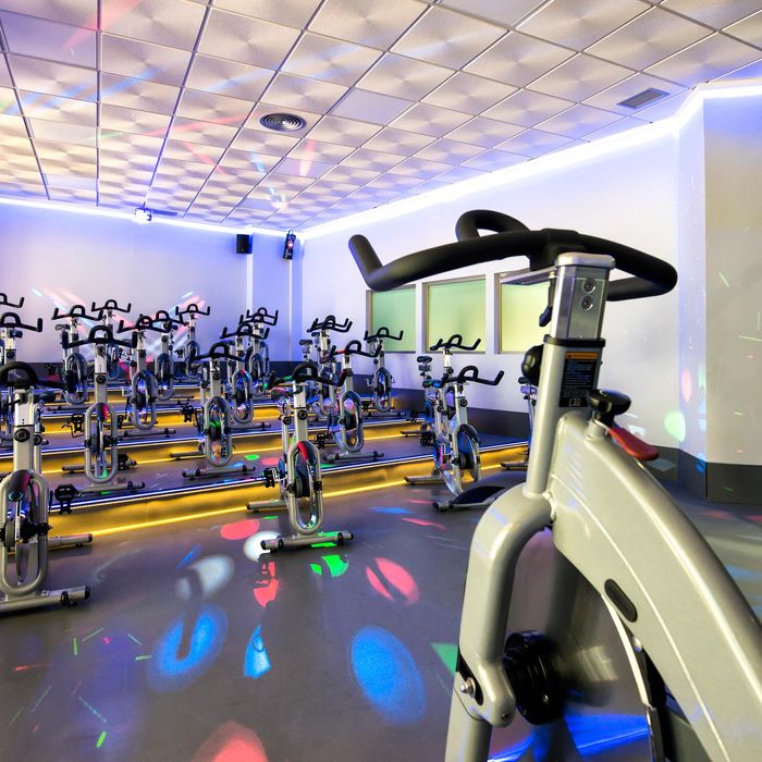 the spin studio