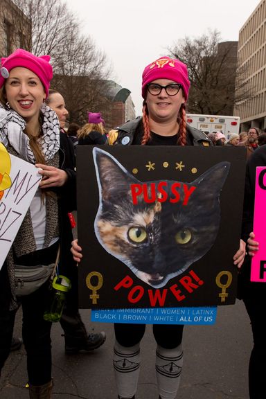 Photos: 46 Signs From the Women’s March on Washington