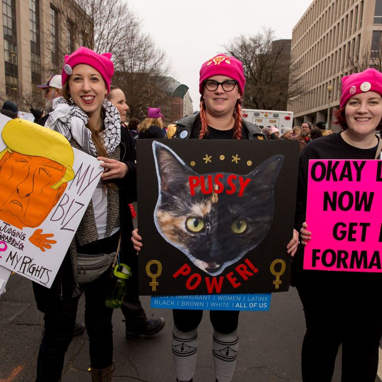Photos: 46 Signs From the Women’s March on Washington