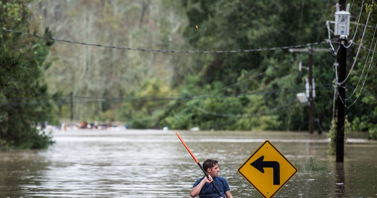 El Niño Has Peaked for This Year, But It’s Still Causing Havoc