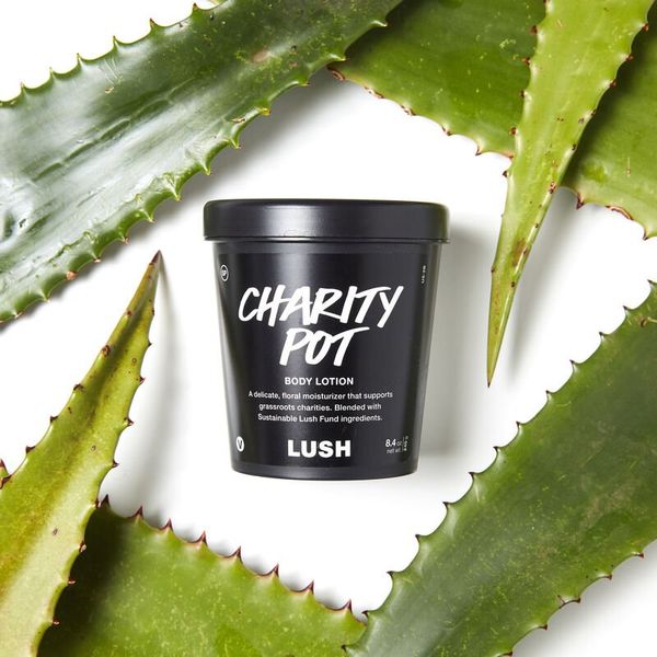 Lush Charity Pot, 8.4 onzas