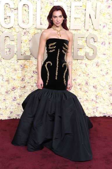 81st Annual Golden Globe Awards - Arrivals