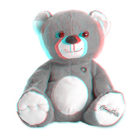 teddy bear with voice message